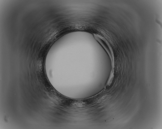 X0000091300595200708311338