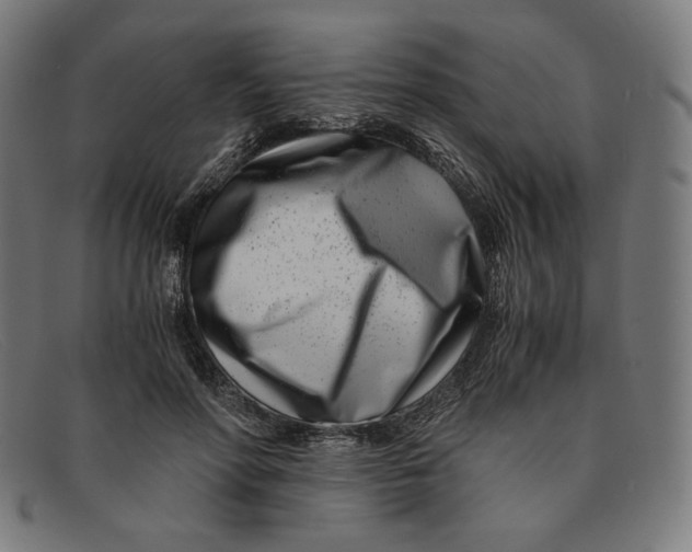 X0000091300598200708311338