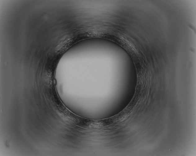 X0000091300599200708311338