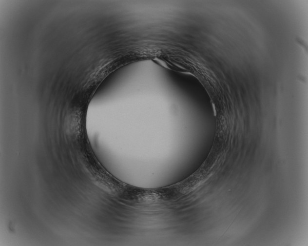 X0000091300600200708311338