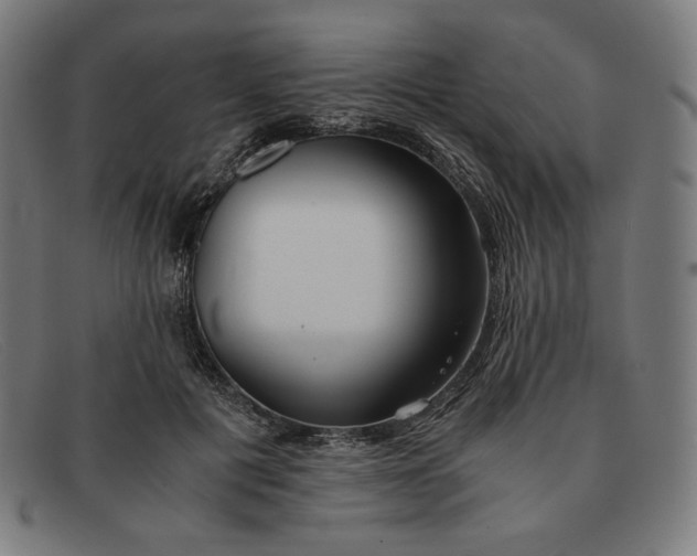 X0000091300601200708311338