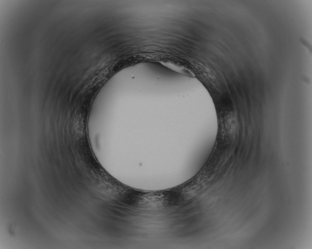 X0000091300606200708311338