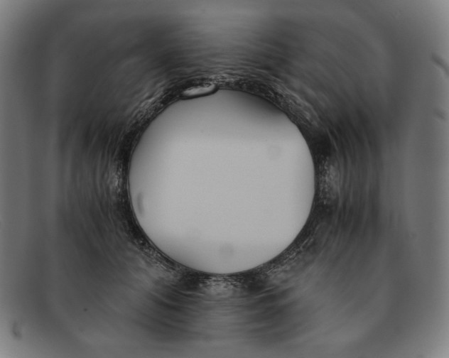 X0000091300608200708311338