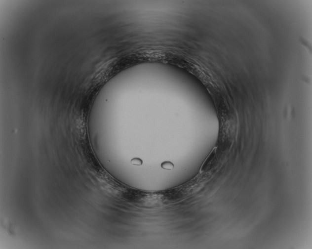 X0000091300609200708311338