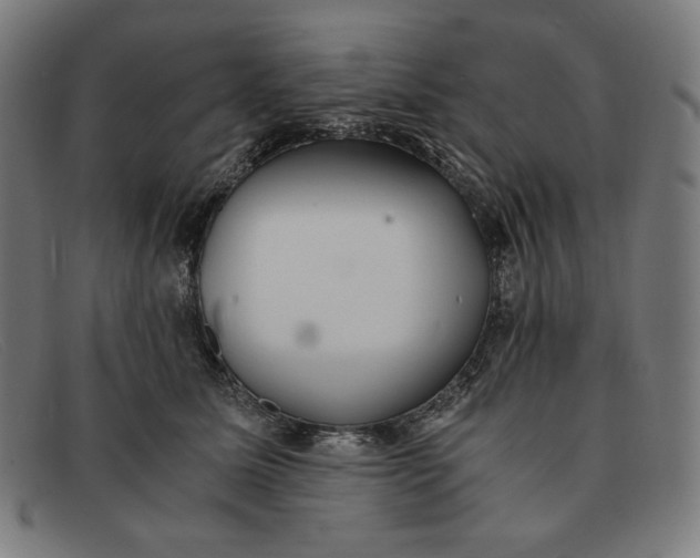 X0000091300611200708311338