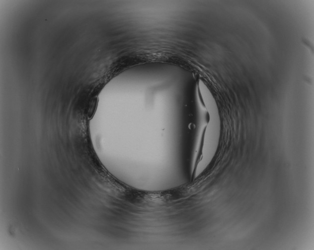 X0000091300613200708311338