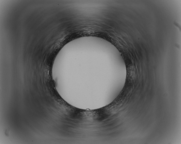 X0000091300615200708311338