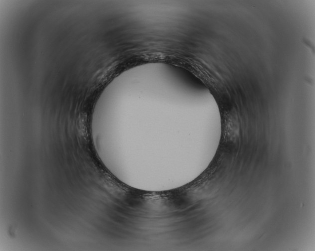 X0000091300616200708311338