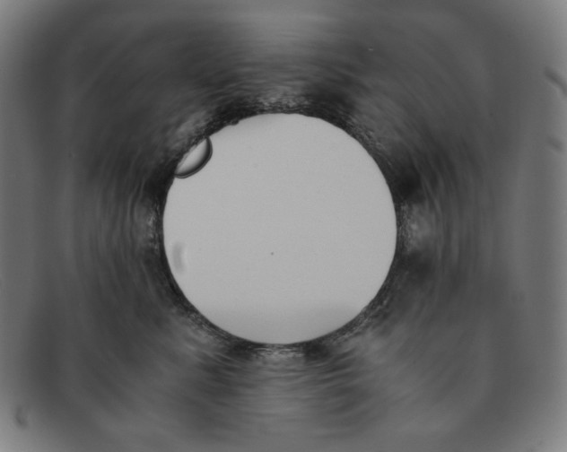 X0000091300619200708311338