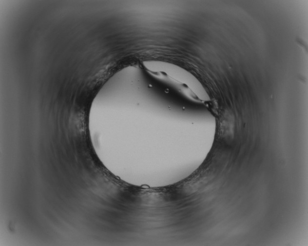 X0000091300620200708311338