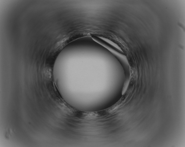 X0000091300621200708311338