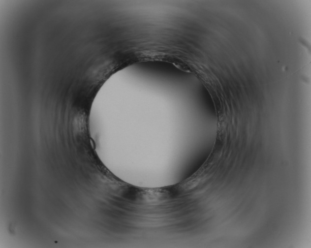 X0000091300623200708311338