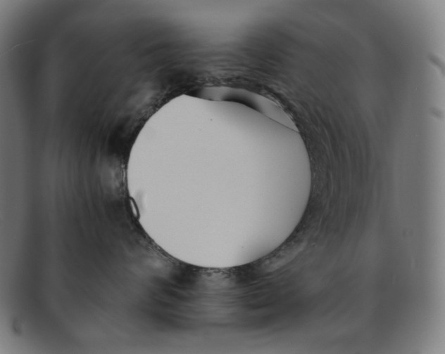 X0000091300624200708311338