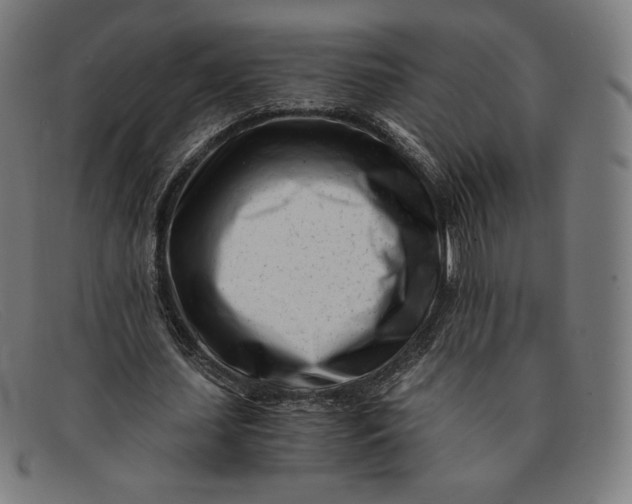 X0000091300627200708311337