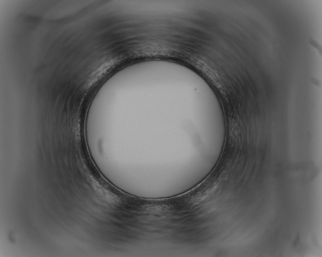 X0000091300629200708311337