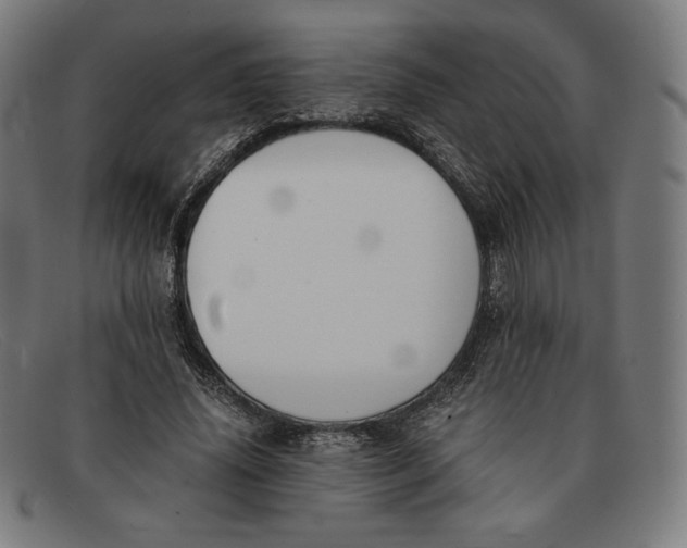 X0000091300636200708311337