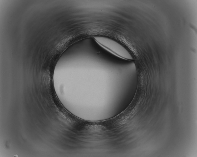 X0000091300637200708311337