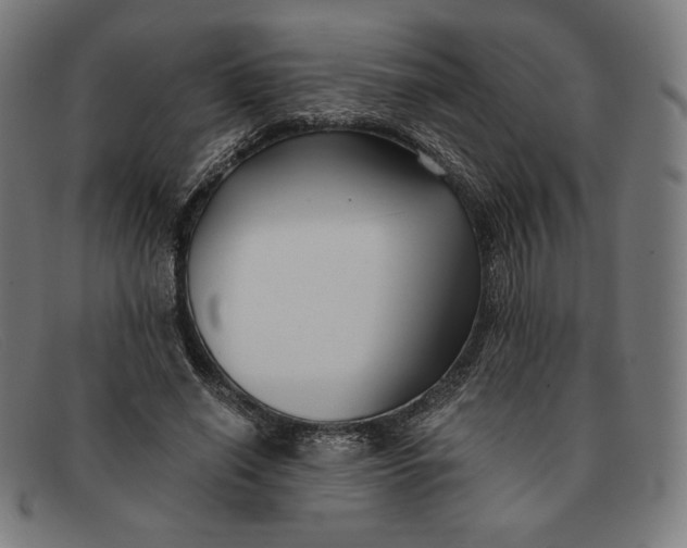 X0000091300638200708311337