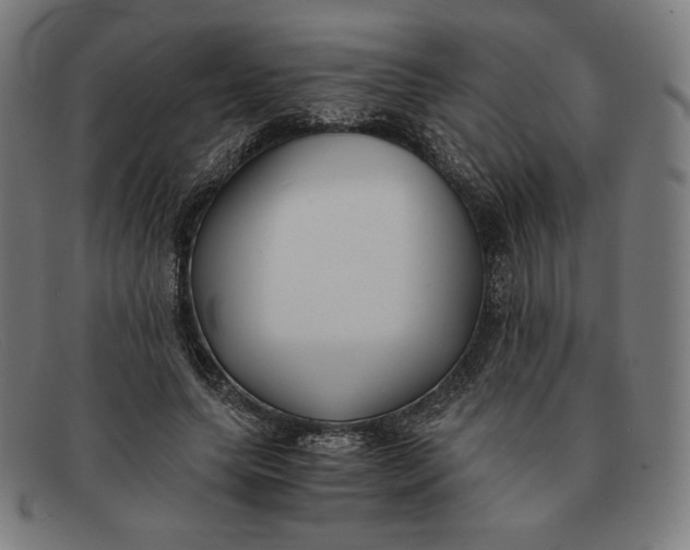 X0000091300639200708311337