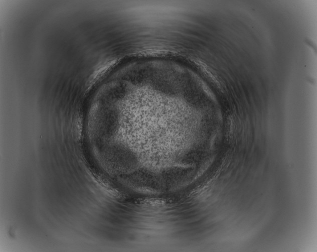 X0000091300640200708311337