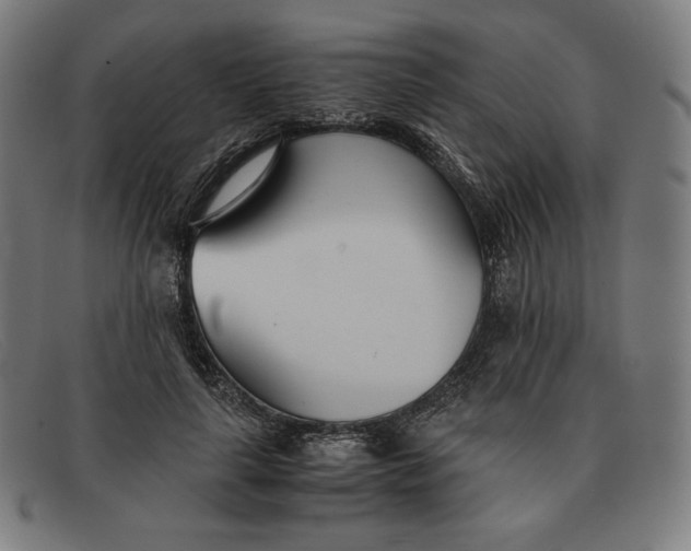 X0000091300643200708311337