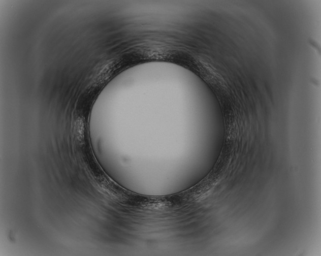 X0000091300646200708311337