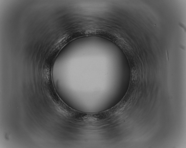 X0000091300648200708311337