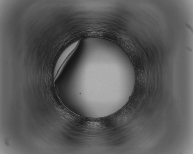 X0000091300649200708311337