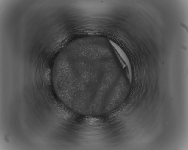 X0000091300650200708311337