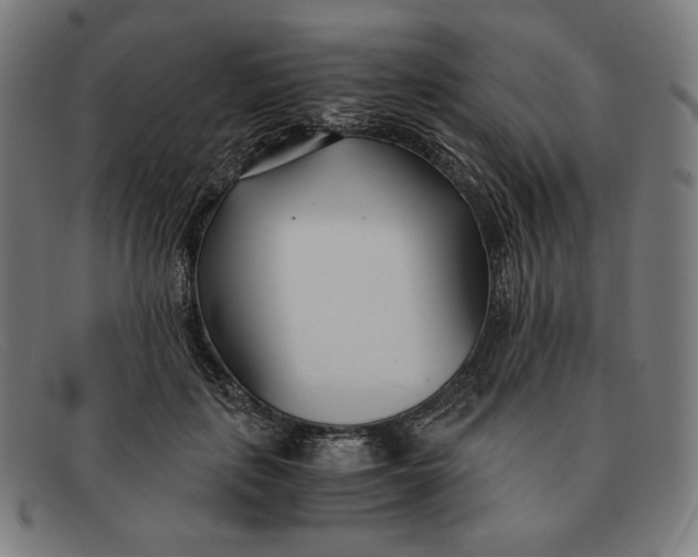 X0000091300651200708311337