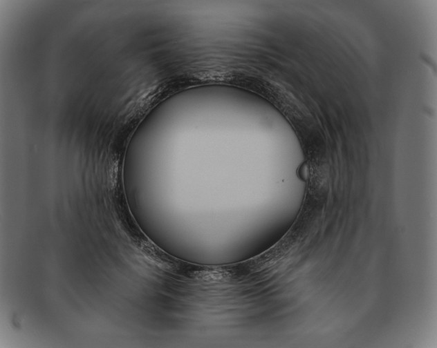 X0000091300652200708311337