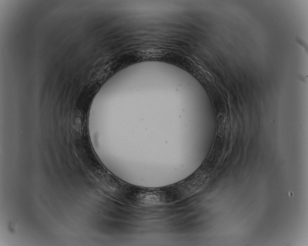 X0000091300655200708311337