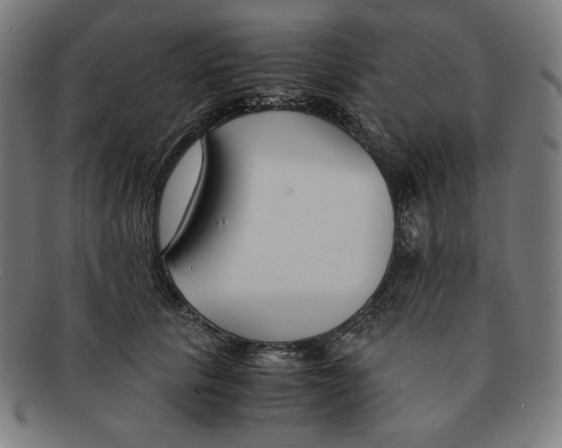 X0000091300657200708311338