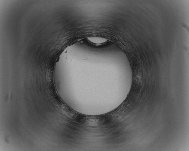 X0000091300658200708311338