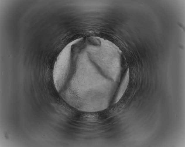 X0000091300659200708311338