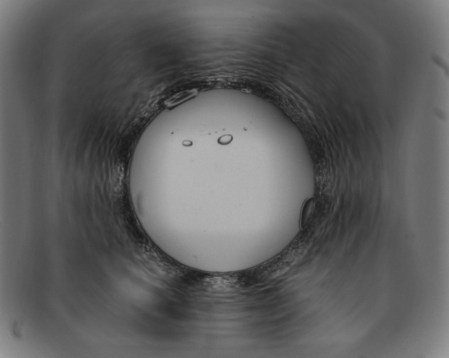 X0000091300660200708311338