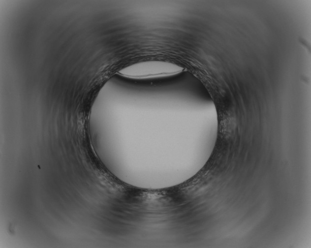 X0000091300662200708311338