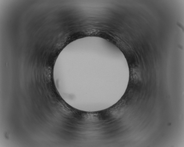 X0000091300664200708311338