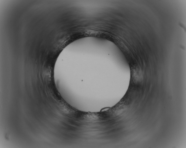 X0000091300668200708311338