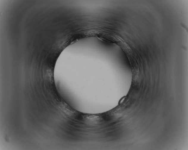 X0000091300669200708311338