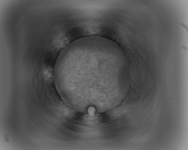 X0000091300672200708311338