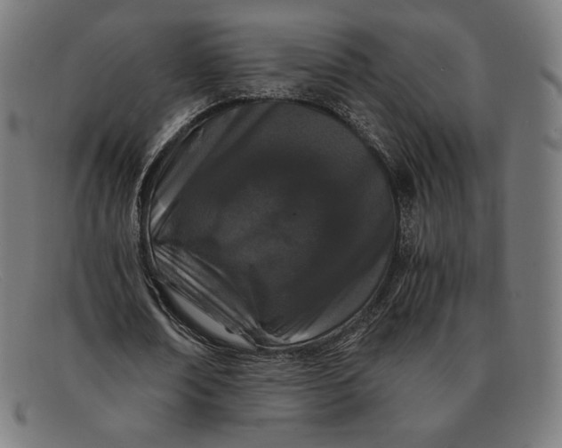 X0000091300674200708311337