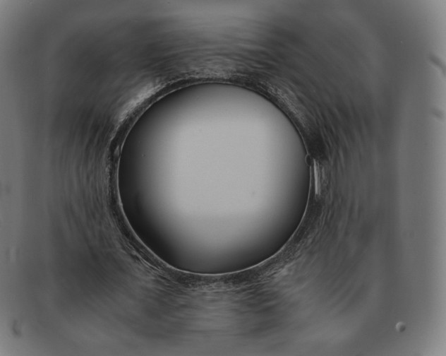 X0000091300675200708311337