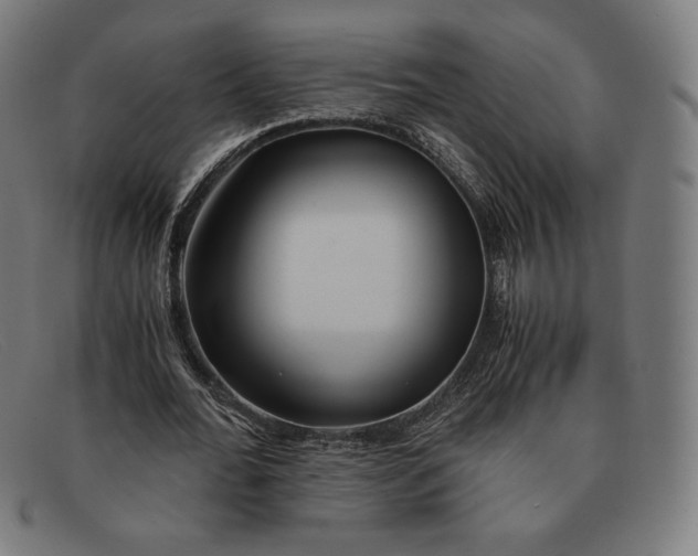 X0000091300676200708311337