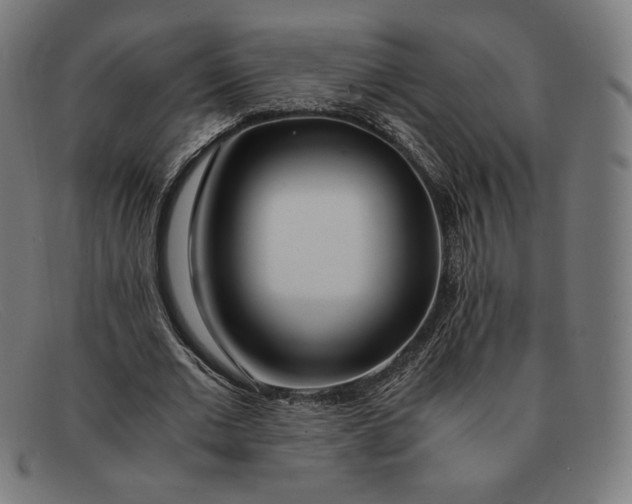 X0000091300677200708311337