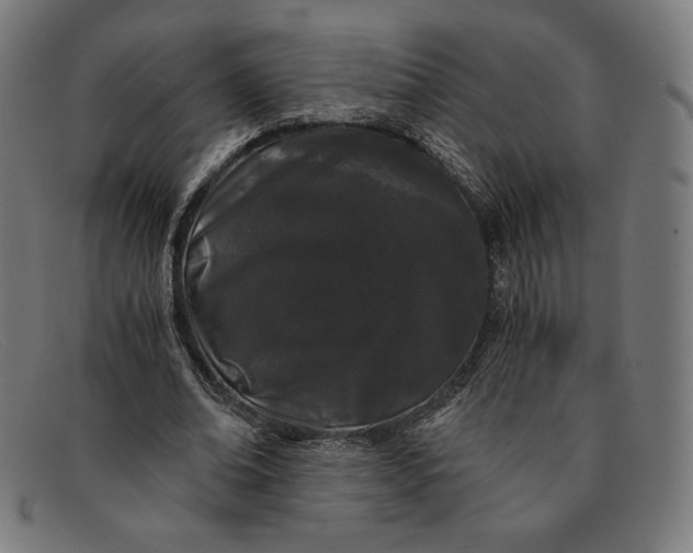 X0000091300678200708311337