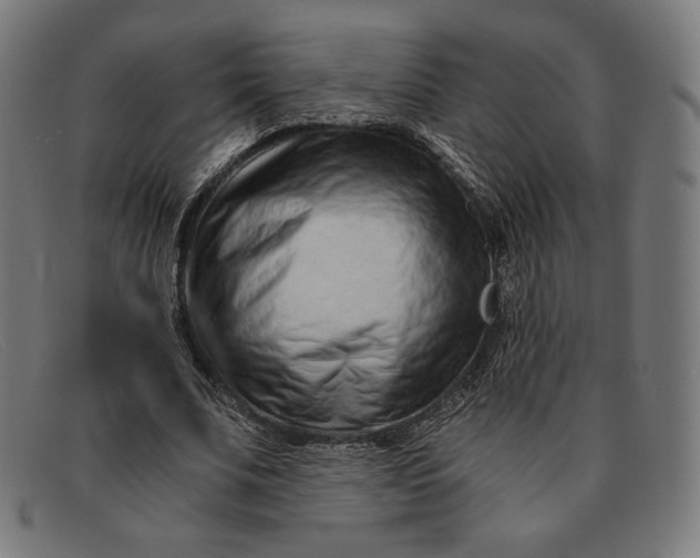 X0000091300679200708311337