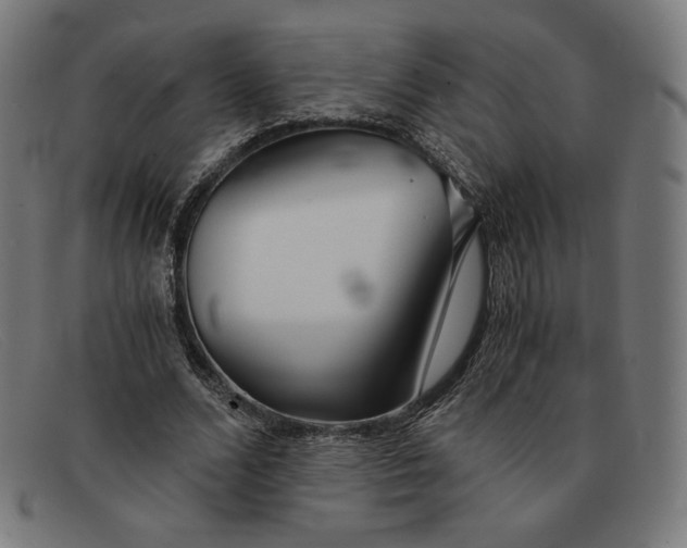 X0000091300680200708311337