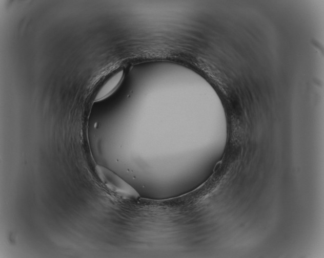 X0000091300681200708311337