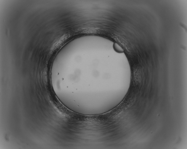 X0000091300682200708311337